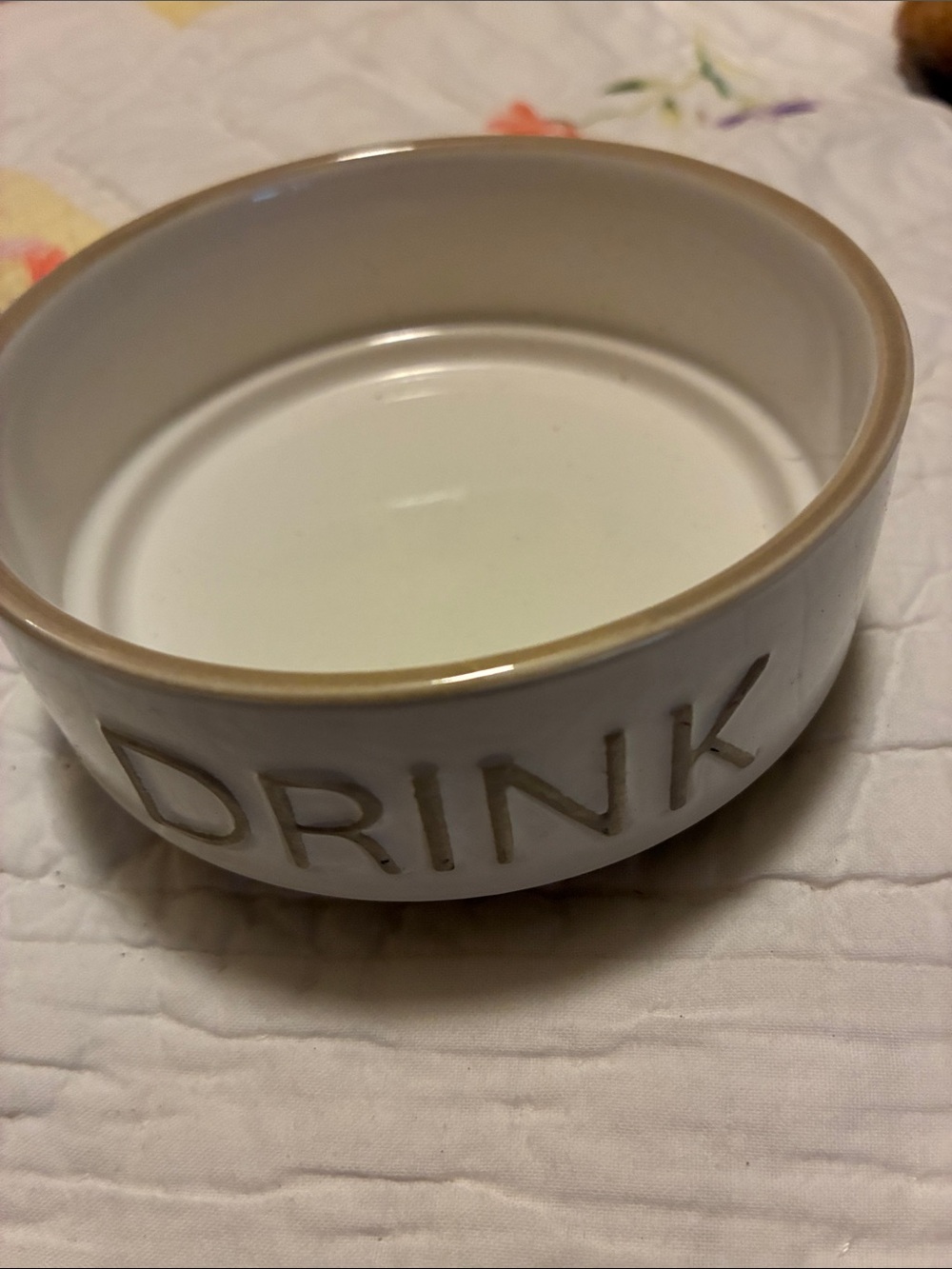 Top Paw White Ceramic Pet Bowl with Tan Rim and 'DRINK' Lettering